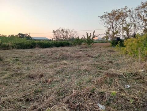 王東明 - 完成後圖一