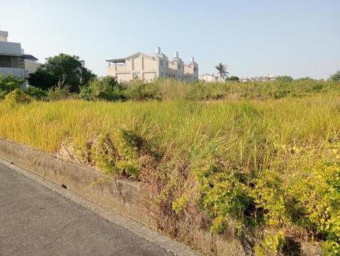 王東明 - 新營區農地除草前