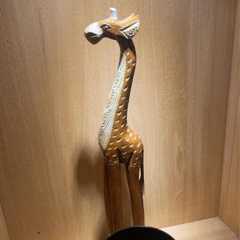 提供養生會館服務的專家RN養生美學