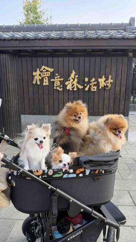 穎 寵物友善住宿管理 - 