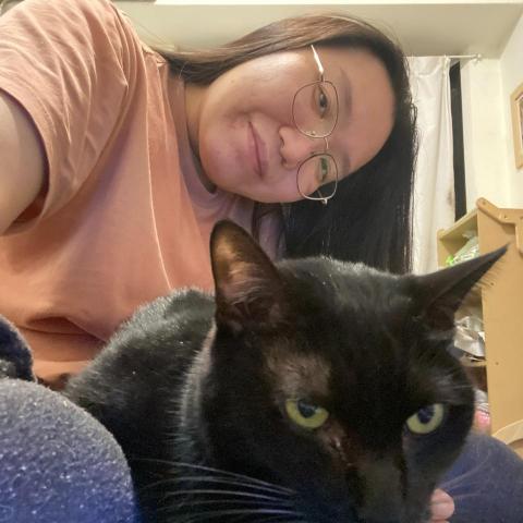 提供洗碗服務的專家賴昀柔－貓咪保母