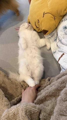 穎 寵物友善住宿管理 - 