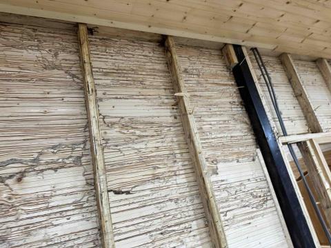 奇威宇環衛有限公司 - 白蟻防治