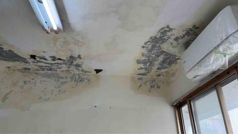 福赫防水工程行 - 龍井壁癌處理