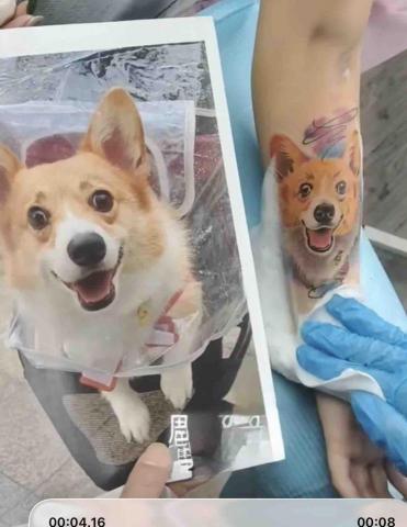 彫尊刺青 - 科基寵物刺青