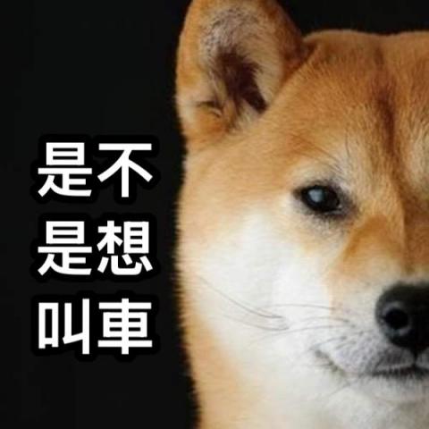 帥哥、美女ㄗㄟ掐某