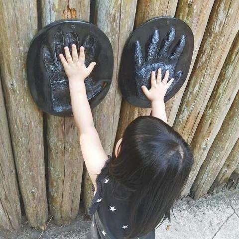 提供刮痧儀服務的專家葉姿儀