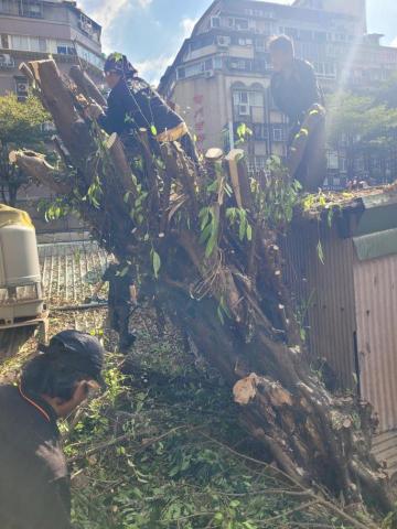 于森園藝企業社 （林先生） - 