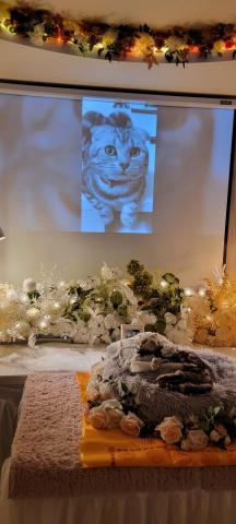 萌寵水化生命禮儀萌寵水化生命禮儀 - 溫馨告別場所