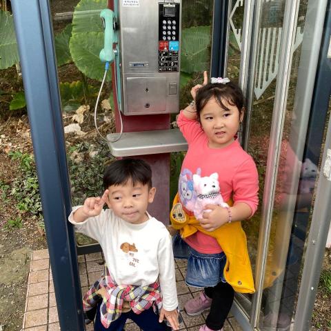 提供wix客服服務的專家林國揚