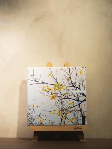 一卷寫真 - 藝術微噴無框畫