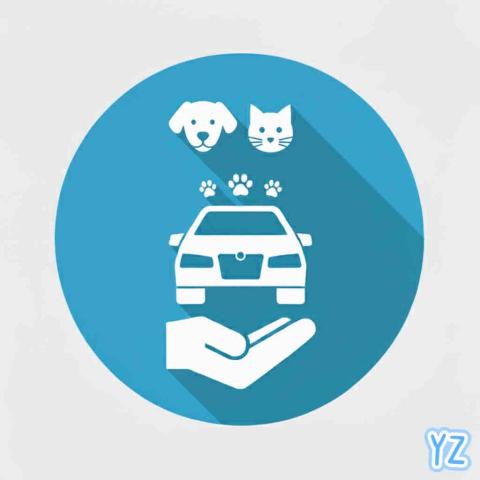 汽,機車接送(寵物友善)/代購跑腿 - 
