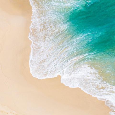 提供csresg差異服務的專家劉卉慈