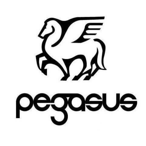 提供網頁設計公司彰化服務的專家‧ Pegasus 
