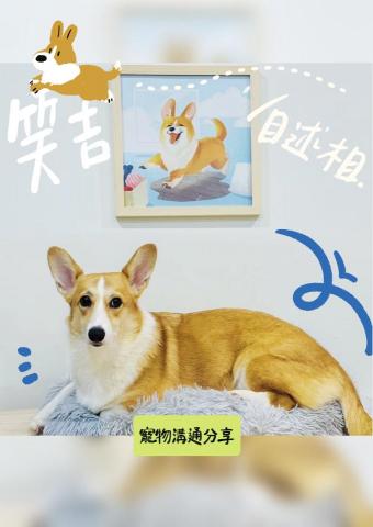 王歆評 - 客戶回饋