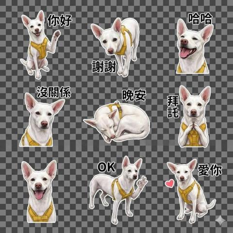 莊世宗 - 寵物設計