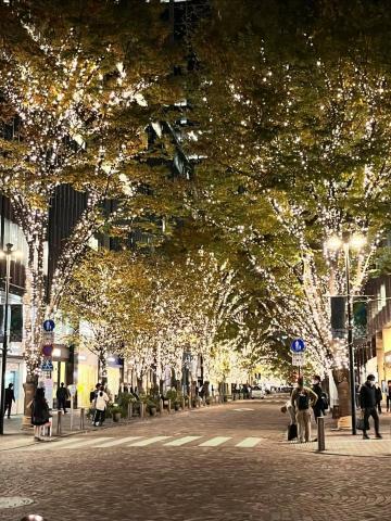 舛本先生 - ｸﾘｽﾏｽのｲﾙﾐﾈｰｼｮﾝ②