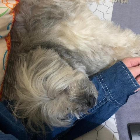 提供北投區服務的專家彭絜筠