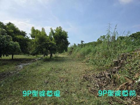沐倡除草專家 - 遙控割草機除草前後