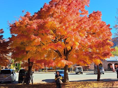 舛本先生 - 河口湖 美術館前(びじゅつかんまえ)