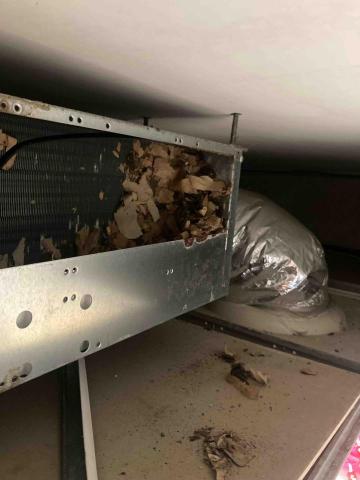 黃子沅 - 吊隱式室內機異物排除