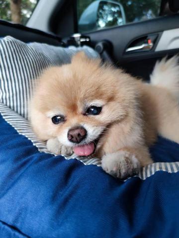 提供nlp催眠服務的專家手手個人工作室