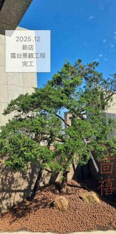 茴禧花坊 - 庭院造景/露台造景/商空