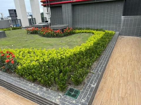匠藝園藝工程有限公司 - 種植灌木