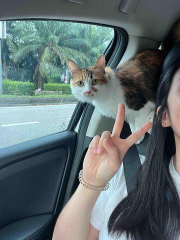 提供遛狗绳服務的專家Becky