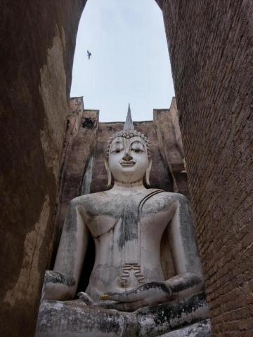 賴怡萱 Celeste Lai - 素可泰