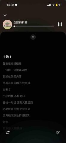 李珊珊 - 作詞作曲