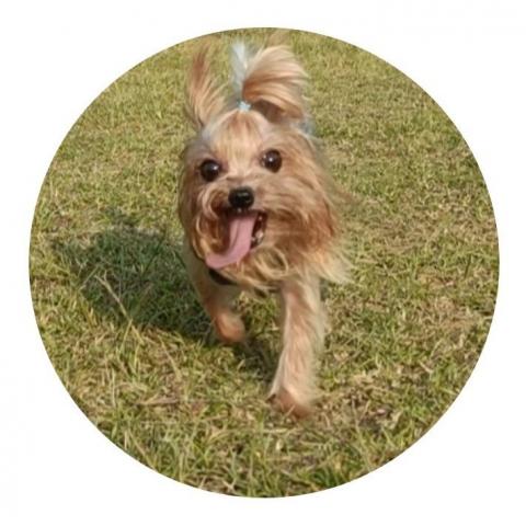 提供灌冷媒服務的專家尹芊文