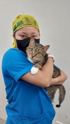 嘉黛 - 照護後癱貓