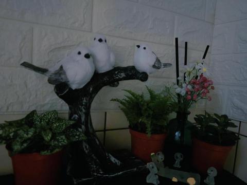 SPA個人工作室/按摩/疲勞修復/刮痧/天然精油 - 