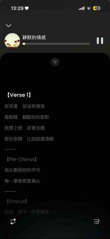 李珊珊 - 作詞作曲