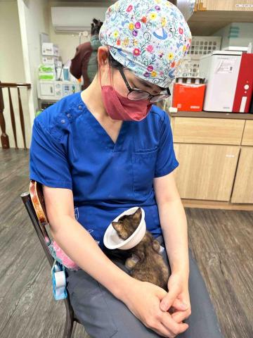 許淑媛 - 工作日常照（是在看貓貓不是在睡覺喔！