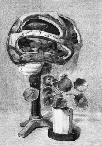 葉羽涵 - 炭筆寫生