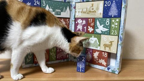 Isabella Lee - 個人經營品牌從國外進口商品到台灣銷售