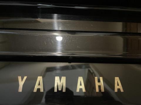 陳承揚鋼琴調律 - 鋼琴LOGO擦拭後