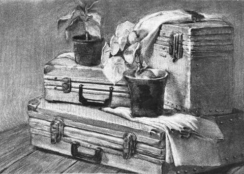 葉羽涵 - 炭筆寫生