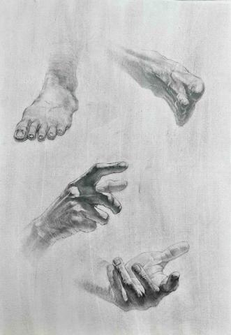 周鑫辰 - 素描手腳結構示範