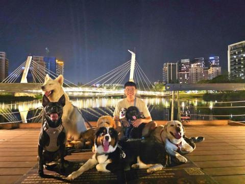 和狗🐶 - 和狗日常汪