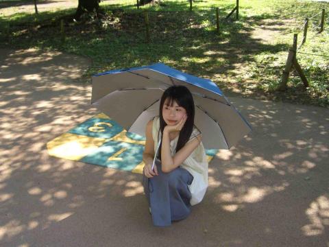 提供新店市公所服務的專家王亭宇