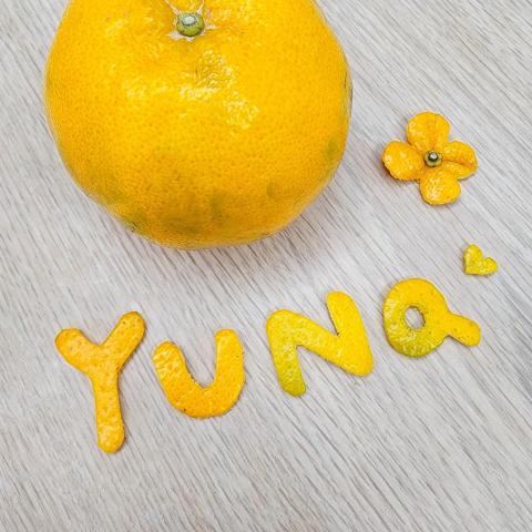 提供收纳桌服務的專家Yuna