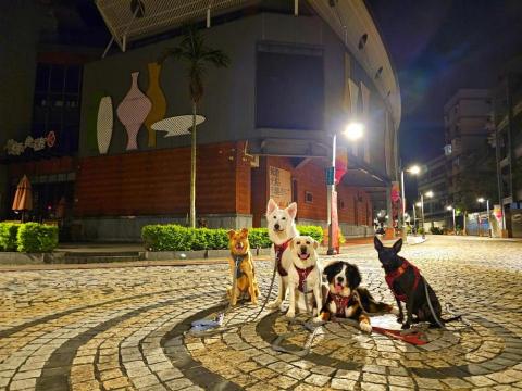 和狗🐶 - 一起到鶯歌老街Go！