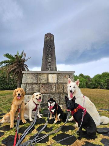 和狗🐶 - 鵝鑾鼻！