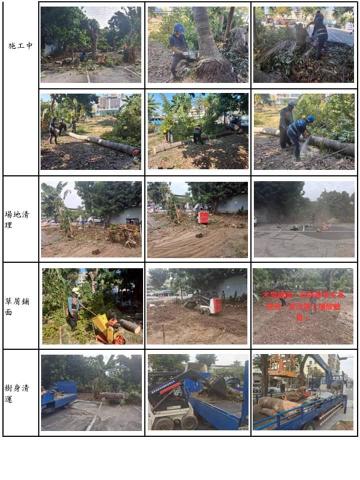 和陞農業科技有限公司 - 樹木移除