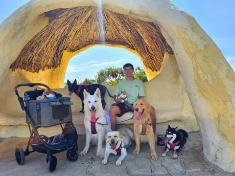 和狗🐶 - 墾丁貓鼻頭公車，龍貓巴士！