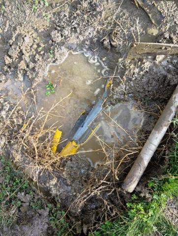 許耀文 - 活水接水