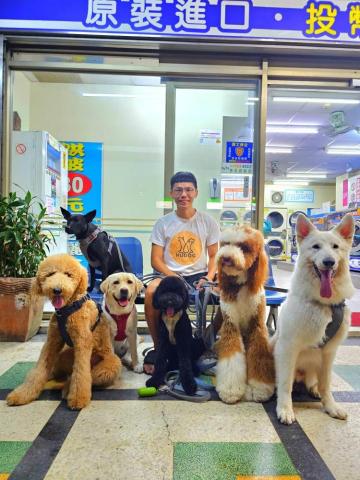 和狗🐶 - 和狗日常汪